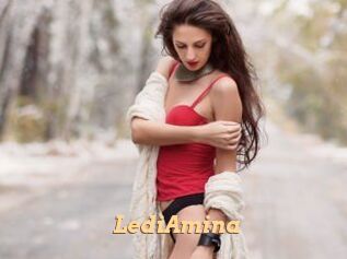 LediAmina