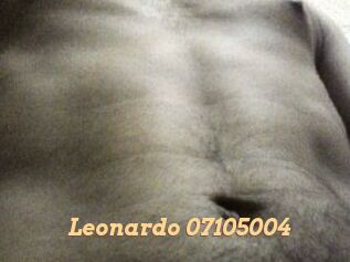 Leonardo-07105004