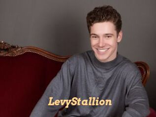 LevyStallion