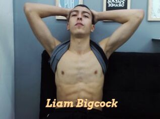 Liam_Bigcock