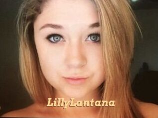 LillyLantana