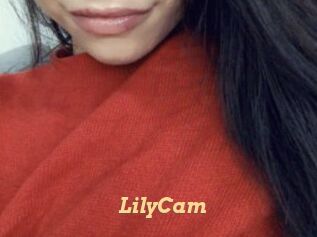 LilyCam