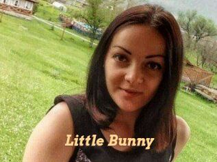 Little_Bunny_