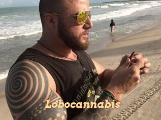 Lobocannabis