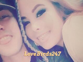 LoveBirds247