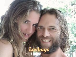 Luvbugs
