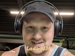 ladbod36 Live Paradise