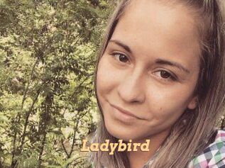 Ladybird