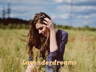 Lavenderdreams
