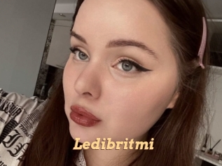 Ledibritmi