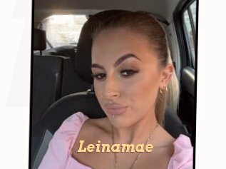 Leinamae