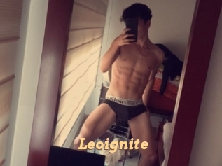 Leoignite