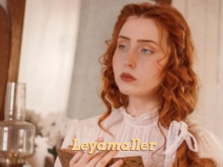 Leyamaller