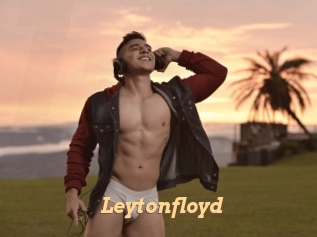 leytonfloyd Live Paradise