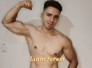 Liam_forest