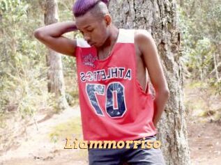 Liammorriso