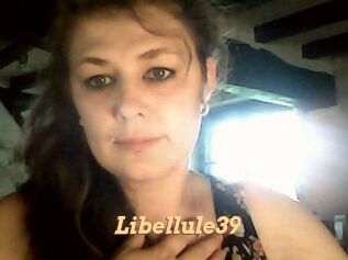 Libellule39