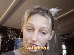 lillybear Live Paradise