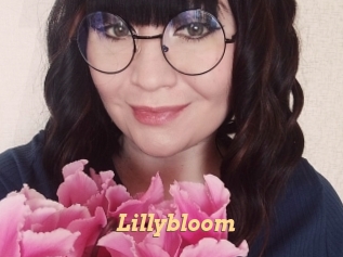 lillybloom Live Paradise