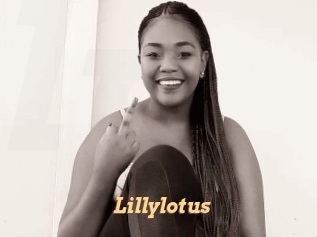 Lillylotus