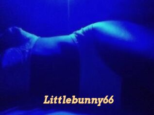 Littlebunny66