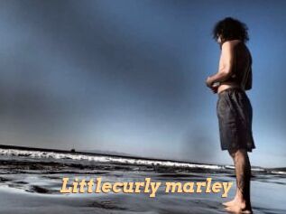 Littlecurly_marley