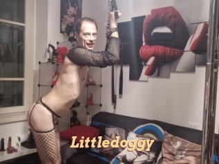 Littledoggy