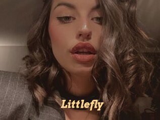 Littlefly