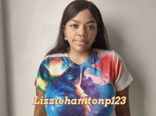 Lizziehamtonp123