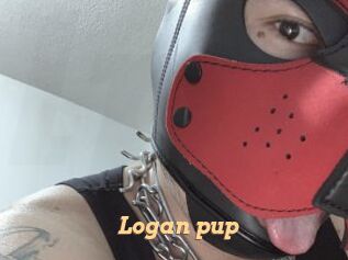 Logan_pup