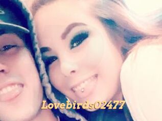 Lovebirds02477