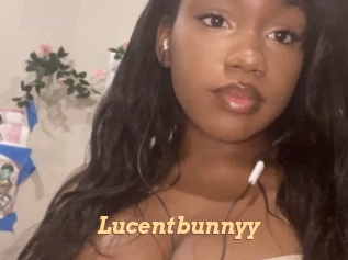 lucentbunnyy Live Paradise
