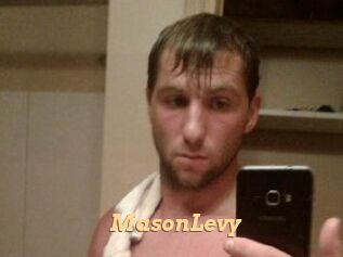 Mason_Levy