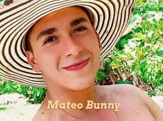 Mateo_Bunny
