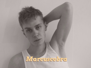 marcuscobra Live Paradise