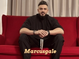 marcusgale Live Paradise