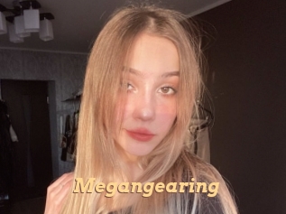Megangearing