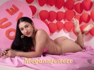 Megannfosterr
