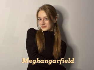 Meghangarfield