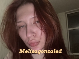 Melisagonzaled