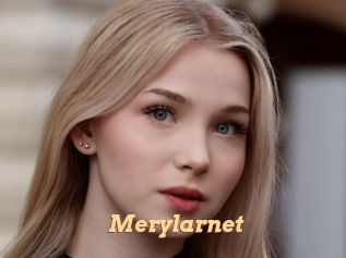 Merylarnet