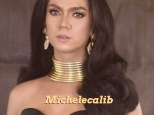 Michelecalib