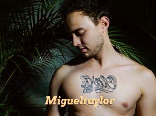 Migueltaylor