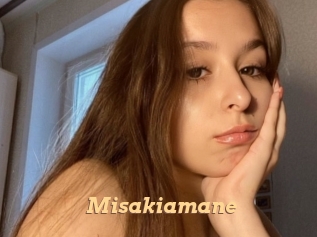 Misakiamane