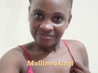 Mollineakinyi