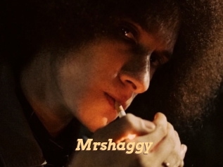 Mrshaggy