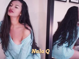 Nala_Q