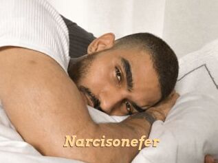 Narcisonefer