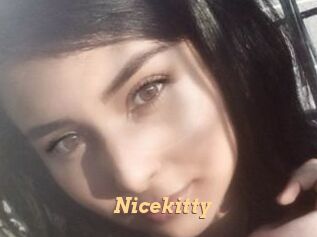 Nicekitty