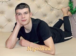 NigelBud